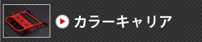 カラーキャリア